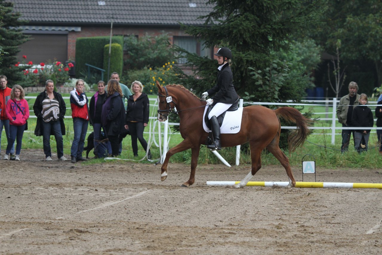 Bild 52 - WBO-Turnier am 18.9.11